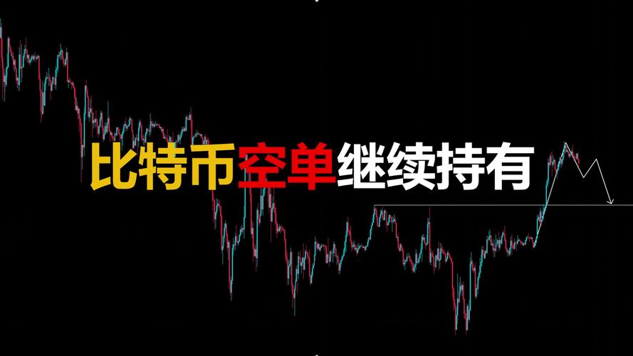 Bitwise首席投资官：Solana真的会成为下一个加密市场爆点吗？